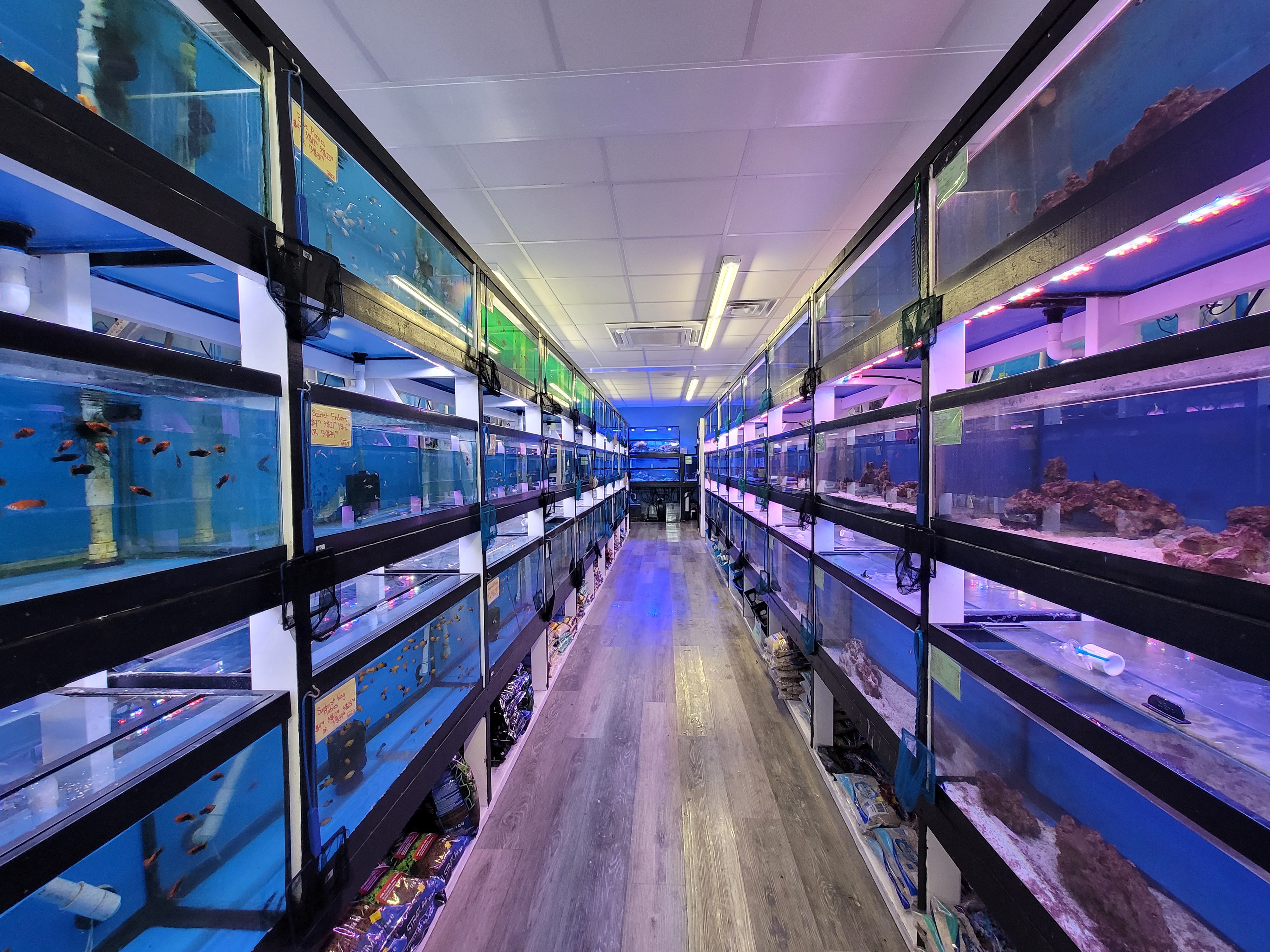 The hot sale aquarium store